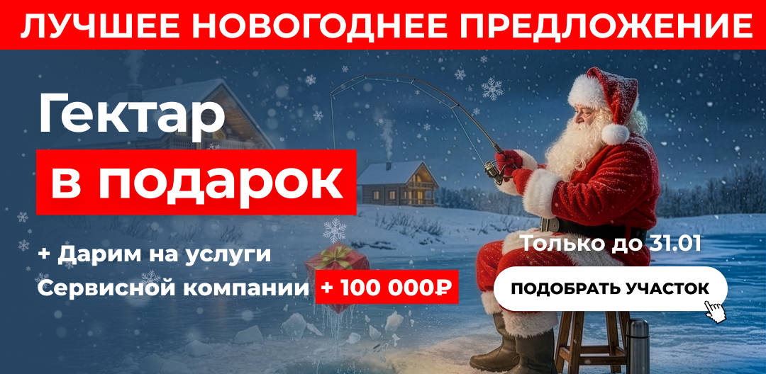 Новогодняя акция