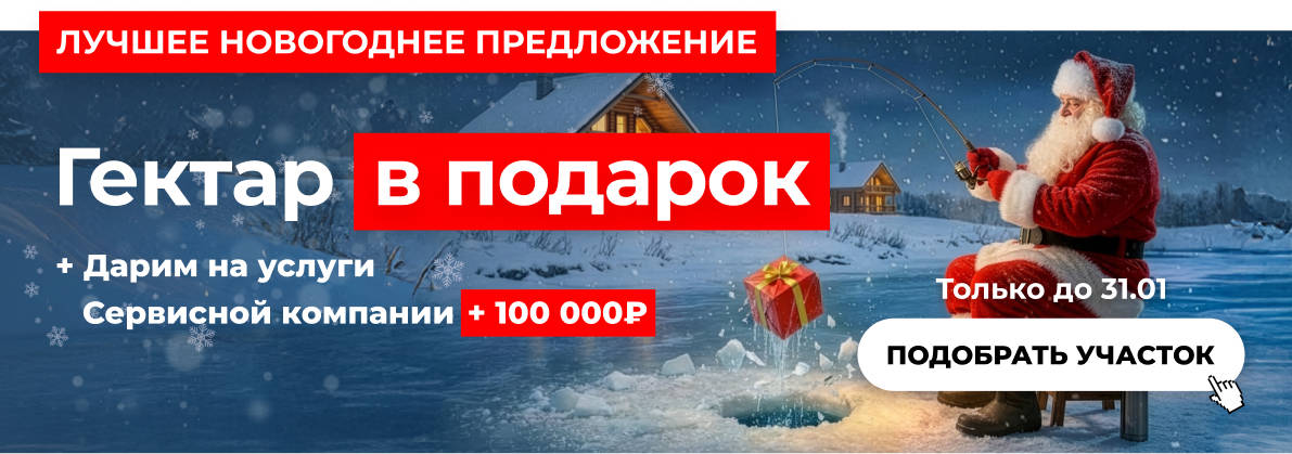 Новогодняя акция